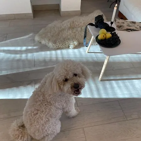 شقة Medve Barlang Ueduelohazak بيليزينتكيريزت